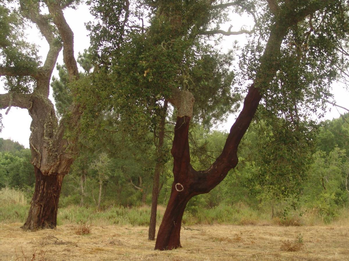 Herdade Rodrigo Afonso São Teotónio Dış mekan fotoğraf